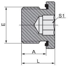BSPT Mannelijke aansluiting Hydraulische buis montage met Captive Seal Hollow Hex Plug 4bn-Wd